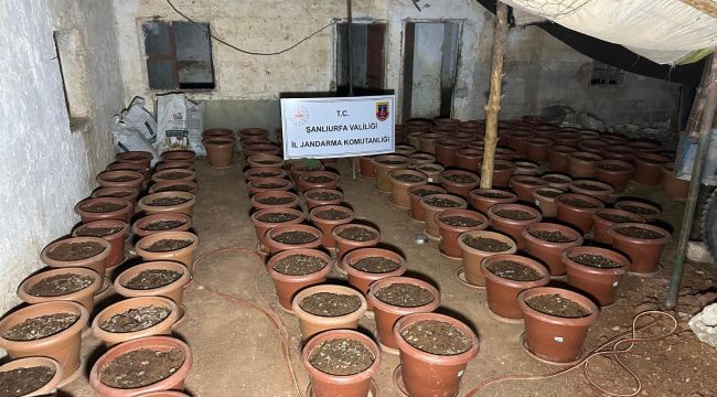 Şanlıurfa’da Jandarmadan Ruhsatsız Silah Operasyonu: 7 Gözaltı