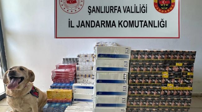Şanlıurfa’da Tütün ve Alkol Kaçakçılarına Operasyon