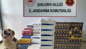 Şanlıurfa’da Tütün ve Alkol Kaçakçılarına Operasyon