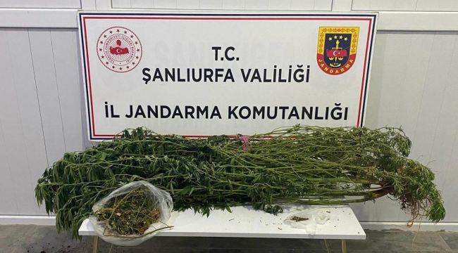 Şanlıurfa’da Uyuşturucu Operasyonu: 12 Şüpheli Hakkında Adli İşlem Başlatıldı