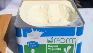Urfarm’dan Yaz Sofralarına Doğal Ferahlık: Koyun Yoğurdu