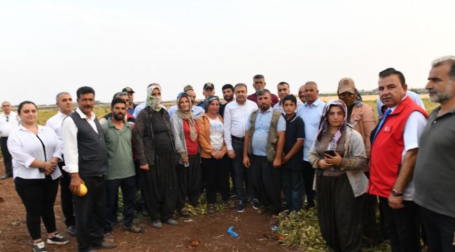 Vali Şıldak’tan Siverek’e Çıkarma: Yeni Kaymakamı Ziyaret Etti, Çalışmaları Yerinde İnceledi