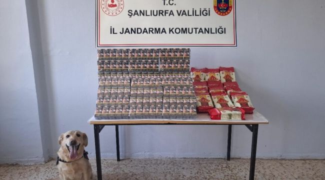 Viranşehir’de Kaçak Tütün ve Alkol Operasyonu