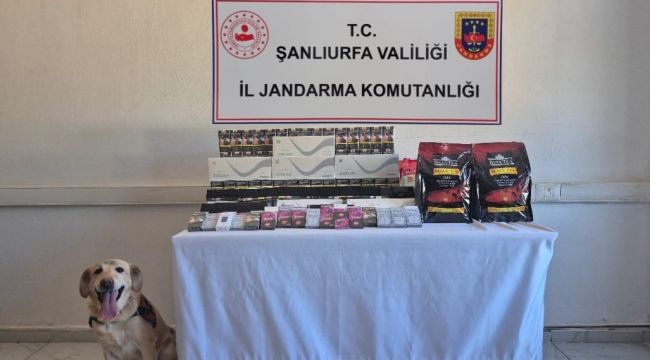 Viranşehir’de Kaçak Tütün ve Alkol Operasyonu