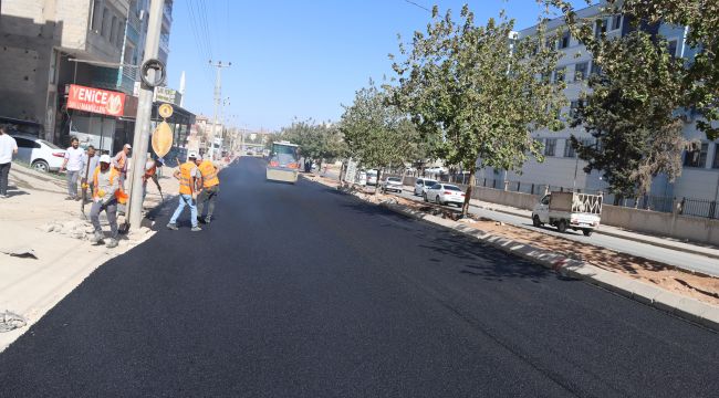 Eyyübiye’de Altyapısı Tamamlanan Yollar Asfaltlanıyor