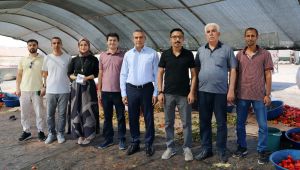 Mevsimlik İşçilere Sağlık Molası