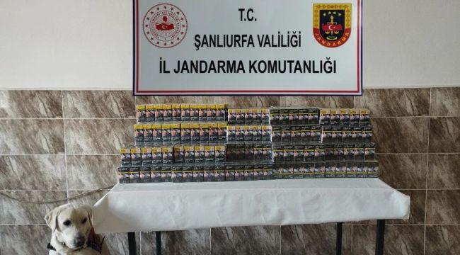 Şanlıurfa'da Jandarmadan Kaçak Sigara ve Nargile Tütünü Operasyonu