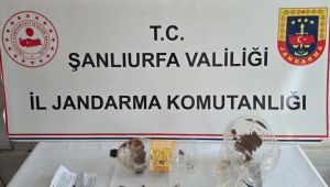 Şanlıurfa'da Jandarmadan Uyuşturucu Operasyonu