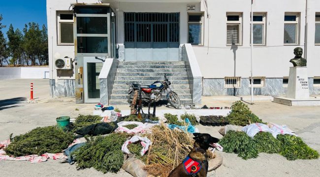 Şanlıurfa’da Jandarmadan Uyuşturucuya Ağır Darbe