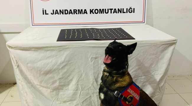 Şanlıurfa’da Uyuşturucu Operasyonları: 42 Şüpheli Hakkında İşlem Başlatıldı