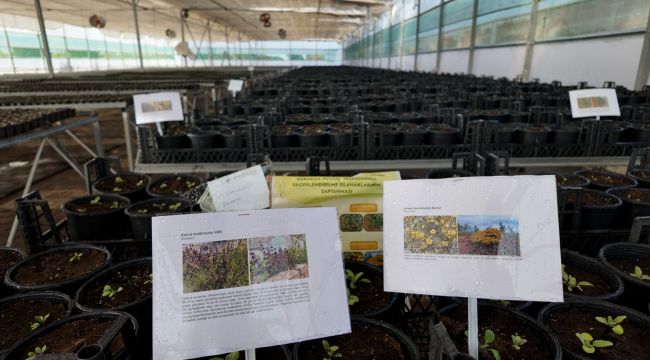 Büyükşehir Belediyesi'nden Kurakçıl Peyzaj Projesine Destek