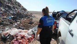 Büyükşehir Zabıta Ekipleri, Sofralara Düşecek Zehri Engelledi