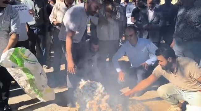 Çukobirlik Çiftçiye Sırtını Döndü: Pamuk Fiyatları Gülünç Seviyede!
