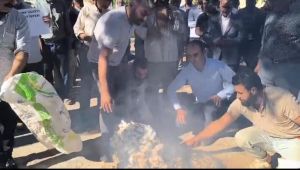 Çukobirlik Çiftçiye Sırtını Döndü: Pamuk Fiyatları Gülünç Seviyede!