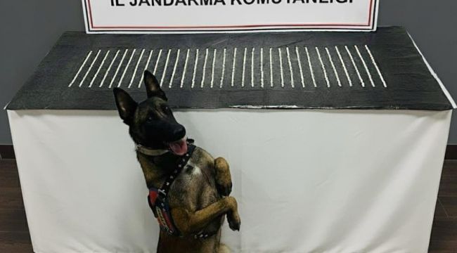 Eyyübiye’de Uyuşturucu Operasyonu: 3 Şüpheli Gözaltında