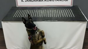 Eyyübiye’de Uyuşturucu Operasyonu: 3 Şüpheli Gözaltında