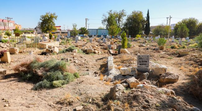 Harran'da Mezarlıklar Yabani Otlardan Temizleniyor 