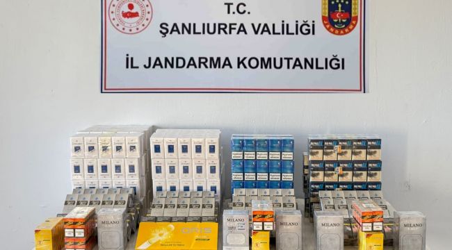 Şanlıurfa'da Dolandırıcılık ve Kaçakçılığa Büyük Darbe
