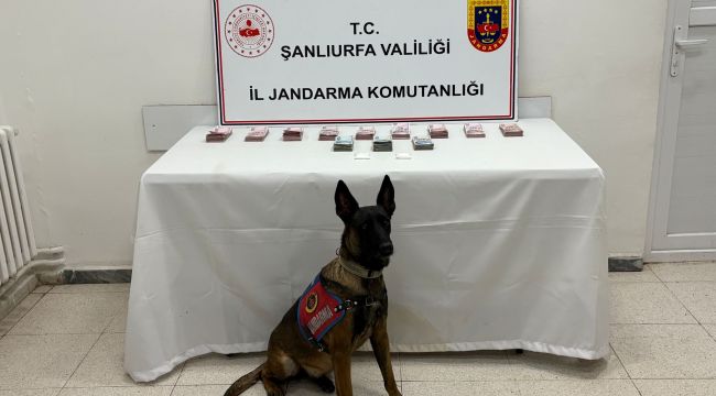 Şanlıurfa’da Jandarmadan Uyuşturucu Operasyonu: Çok Sayıda Madde Ele Geçirildi