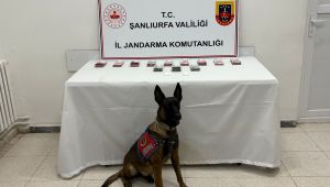 Şanlıurfa’da Jandarmadan Uyuşturucu Operasyonu: Çok Sayıda Madde Ele Geçirildi