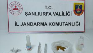 Şanlıurfa’da Jandarmadan Uyuşturucu Operasyonu