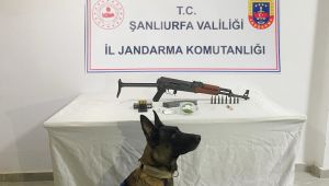 Şanlıurfa’da Jandarmadan Uyuşturucu ve Silah Operasyonu