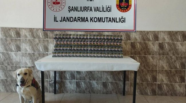 Şanlıurfa’da Kaçak Sigara Operasyonu: 7 Bin 940 Paket Ele Geçirildi