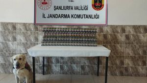 Şanlıurfa’da Kaçak Sigara Operasyonu: 7 Bin 940 Paket Ele Geçirildi