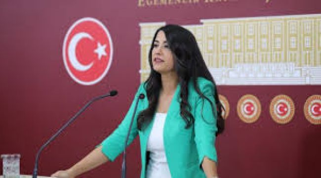 Şanlıurfa Milletvekili Dilan Kunt Ayan Meclis'te konuştu: “Rojin'e ne oldu?”
