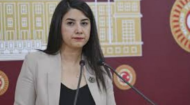 Siverek'te Hayvancılığın Sorunları Meclis Gündeminde