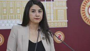 Siverek'te Hayvancılığın Sorunları Meclis Gündeminde