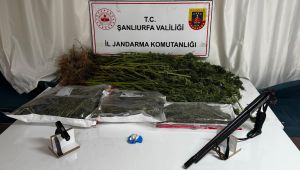 Siverek’te Uyuşturucu Operasyonu: 1 Kişi Gözaltına Alındı
