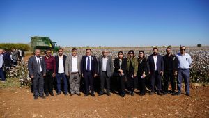ŞUTSO, “İyi Pamuk Tarla Günü” Etkinliğine Katıldı