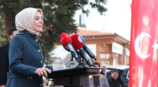 Bakan Göktaş, Nallıhan'da toplu açılış töreninde konuştu