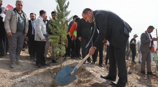 Başkan Gülpınar, “Milli Ağaçlandırma Günü”Nde Fidan Dikti