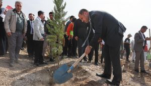 Başkan Gülpınar, “Milli Ağaçlandırma Günü”Nde Fidan Dikti
