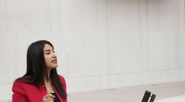 DEM Partili Ayan’dan Şanlıurfa’daki Kapalı Sınır Kapıları İçin Meclis Araştırması Talebi