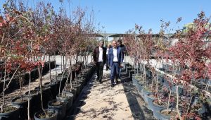 Karaköprü’de Ağaçlandırma Sezonu Başladı