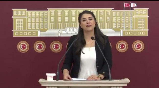Milletvekili Ayan: “Urfa’daki Eğitim Sorunları Bütçede Görmezden Gelinmemeli”