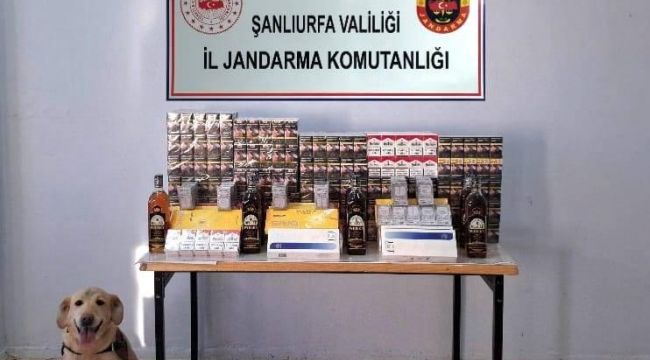 Şanlıurfa'da Jandarmadan Kaçak Tütün ve Alkol Operasyonu