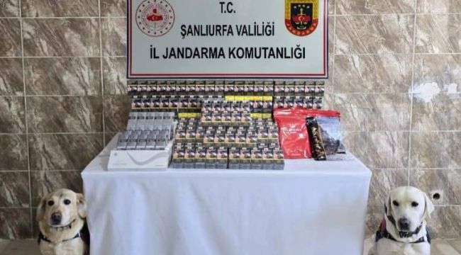 Şanlıurfa'da Jandarmadan Kaçak Tütün ve Alkol Operasyonu