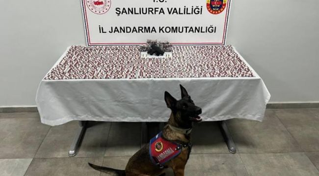 Şanlıurfa’da Jandarmadan Uyuşturucu Operasyonu: 2 Şüpheli Gözaltında
