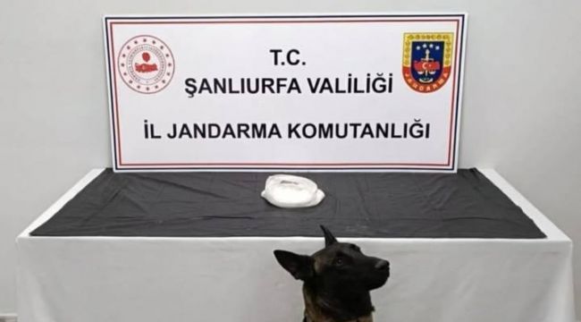 Şanlıurfa’da Jandarmadan Uyuşturucu Operasyonu: 500 Gram Metamfetamin Ele Geçirildi