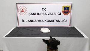 Şanlıurfa’da Jandarmadan Uyuşturucu Operasyonu: 500 Gram Metamfetamin Ele Geçirildi