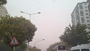 Şanlıurfa Toz Bulutuna Teslim Oldu