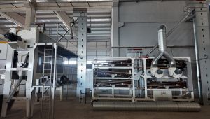 Şanlıurfalı Kadınlar Tarımsal Üretime Katılıyor, Ekonomi Güçleniyor