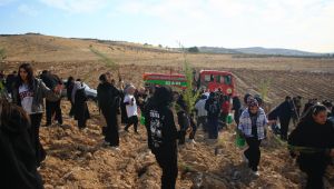 Şanlıurfalı Liseliler Avrupa Projesine Yeşil Bir Başlangıç Yaptı: 500 Fidan Toprakla Buluştu