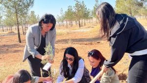 Suruç’ta Anlamlı Etkinlik: Kadına Yönelik Şiddete Karşı Anı Ormanı Oluşturuldu