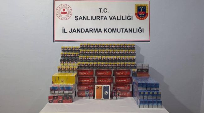 Viranşehir’de Kaçak Tütün ve Alkol Operasyonu: Binlerce Kaçak Ürün Ele Geçirildi