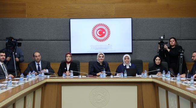 Bakan Göktaş, TBMM Dijital Mecralar Komisyonunda sunum yaptı